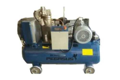 Pegasut TMTV-10A Máy Nén Khí Trục Vít