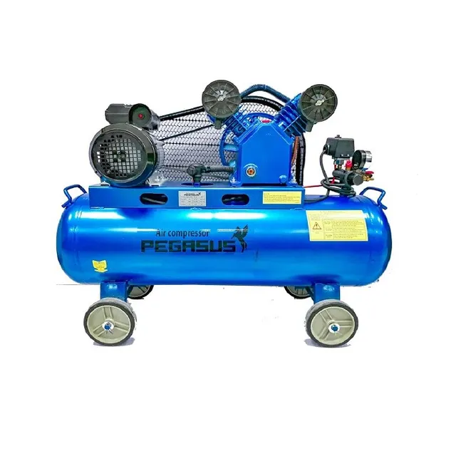 Pegasut PE 120L 02 Máy Nén Khí PE TM-V-0.25/8-120L-3HP