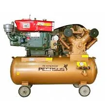 Pegasut PE 500L 11 Máy Nén Khí PE TM-W-1.0/8-500L-10HP Đầu nổ D8