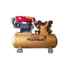 Pegasut PE 500L 13 Máy Nén Khí PE TM-W-1.6/8-500L-15HP Đầu nổ D24