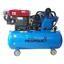 Pegasut PE 500L 12 Máy Nén Khí PE TM-W-1.05/12.5-500L-10HP Đầu nổ D16