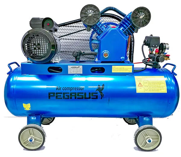 Pegasut PE 230L 07 Máy Nén Khí PE TM-V-0.6/8-230L-5.5HP
