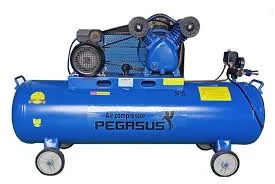 Pegasut PE 120L 01 Máy Nén Khí TM-V-0.17/8-120L-2HP